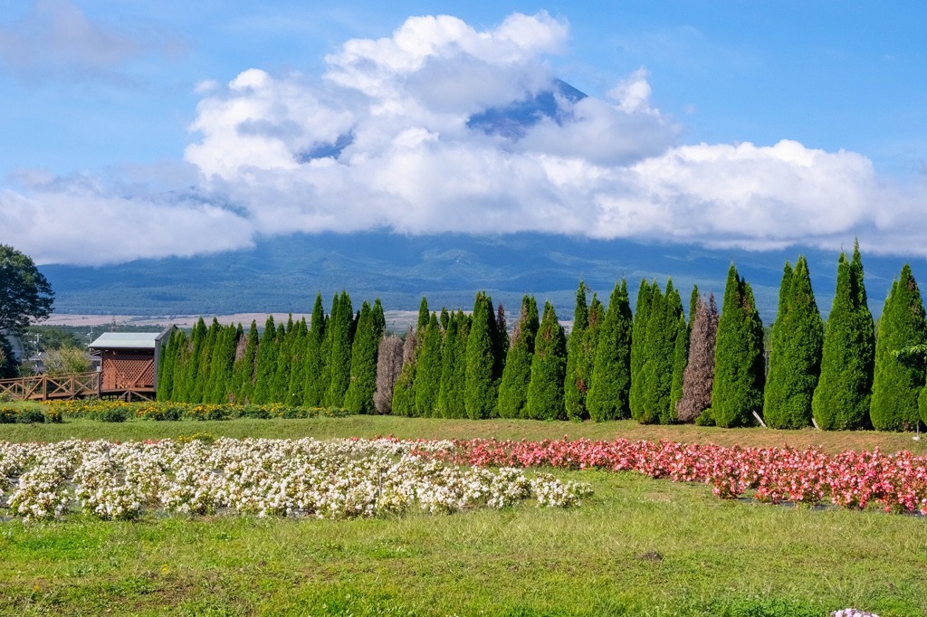 9月の花の都（２）