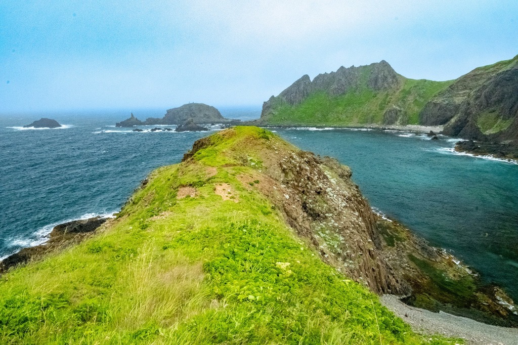 礼文島（５）