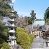 春の可睡斎（８）