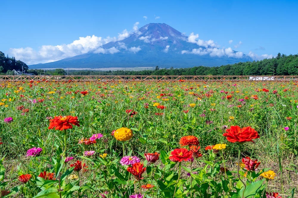 初秋の山中湖（３）