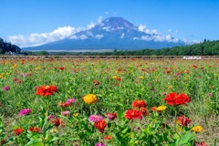 初秋の山中湖（３）