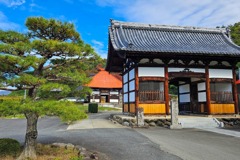 長野の秋（３）