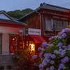 夕暮れのペリーロード（４）