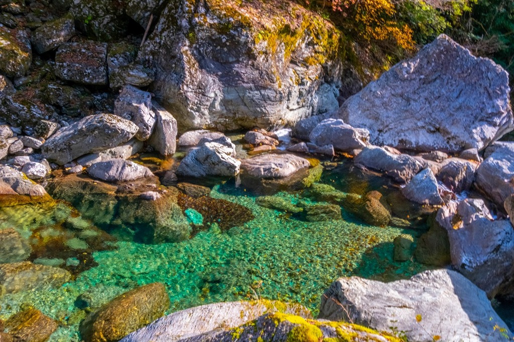 12月の高知（54）