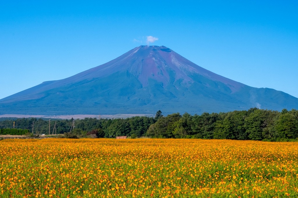 秋の富士山