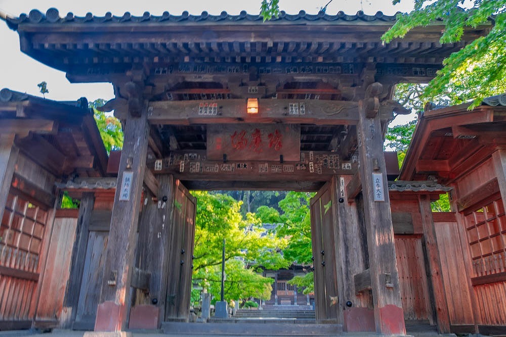 新緑の修善寺（７）