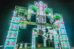 2020年クリスマス（29）