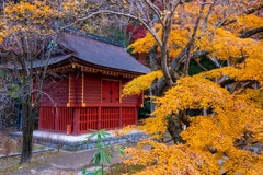 12月の奈良（63）