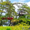 松島（２）