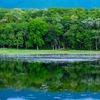知床五湖（５）