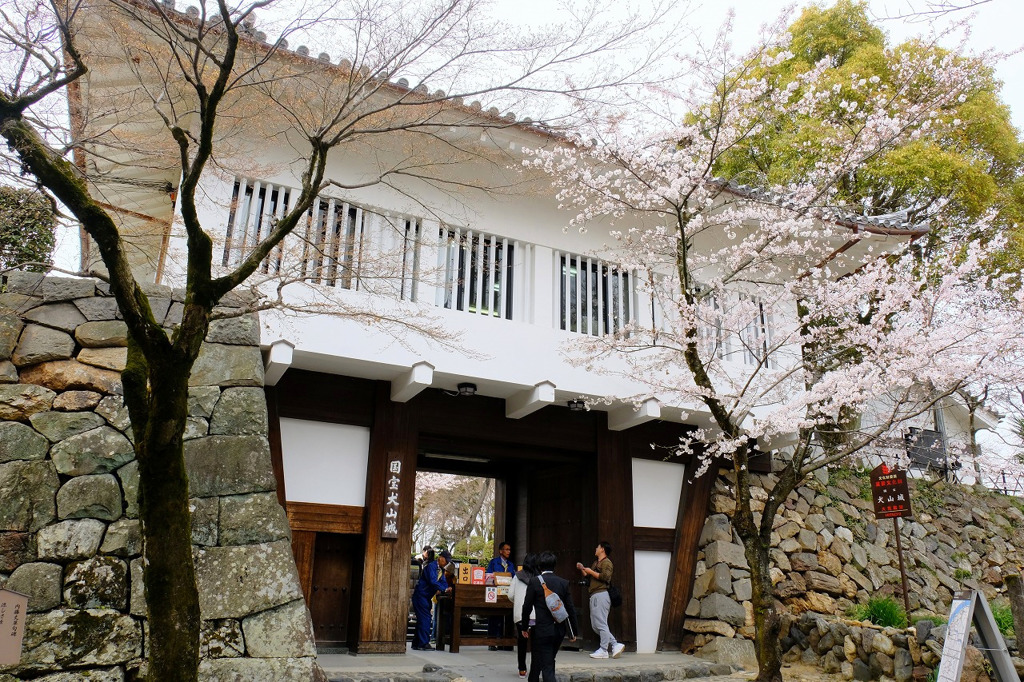 犬山城２