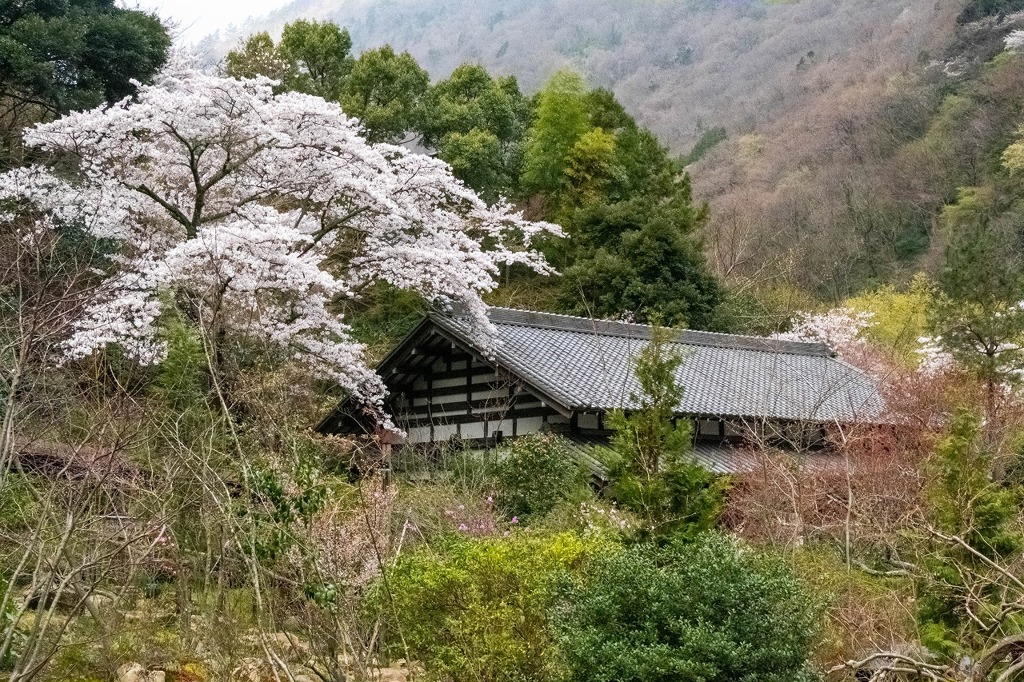 箱根　豊栄荘（２）