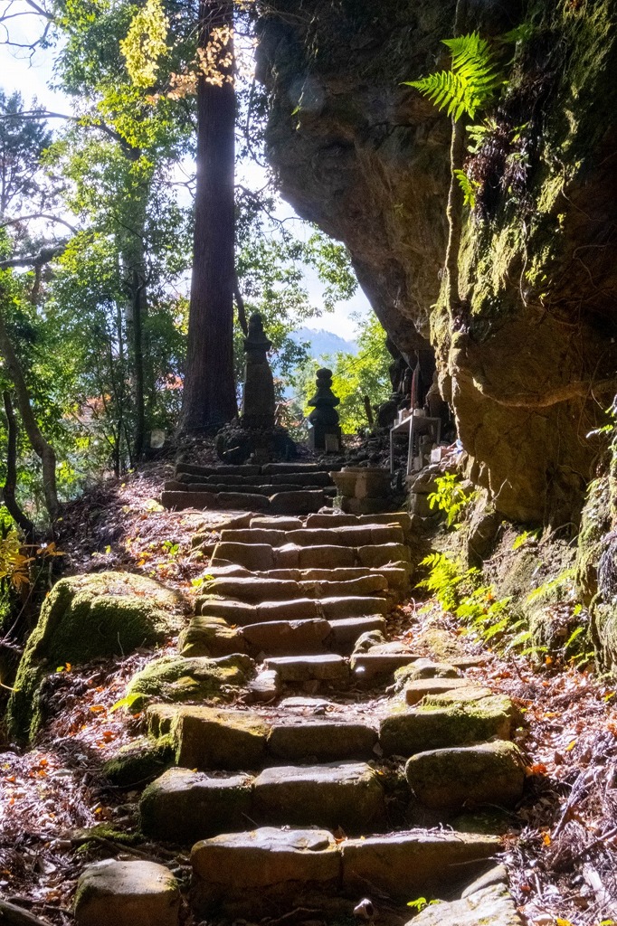 12月の奈良（54）