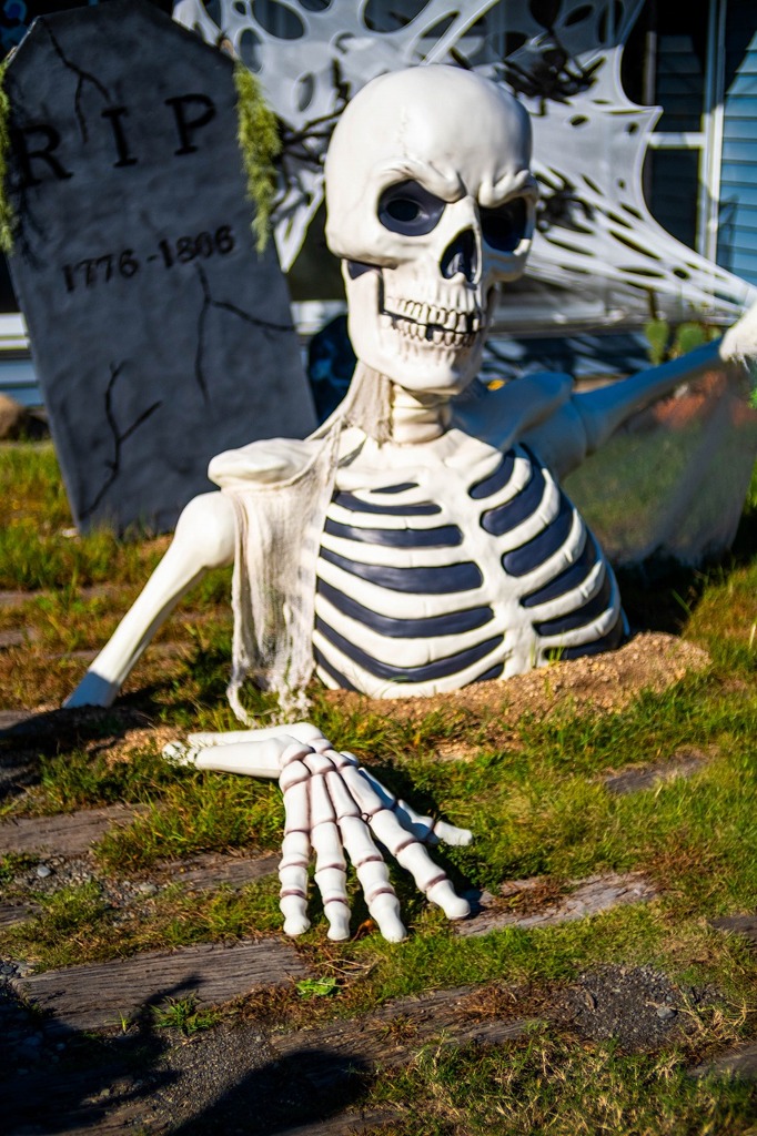 ハッピー・ハロウィン（４）