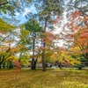 秋の兼六園（11）