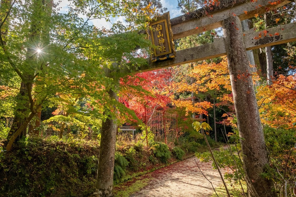 湖南の秋（４）