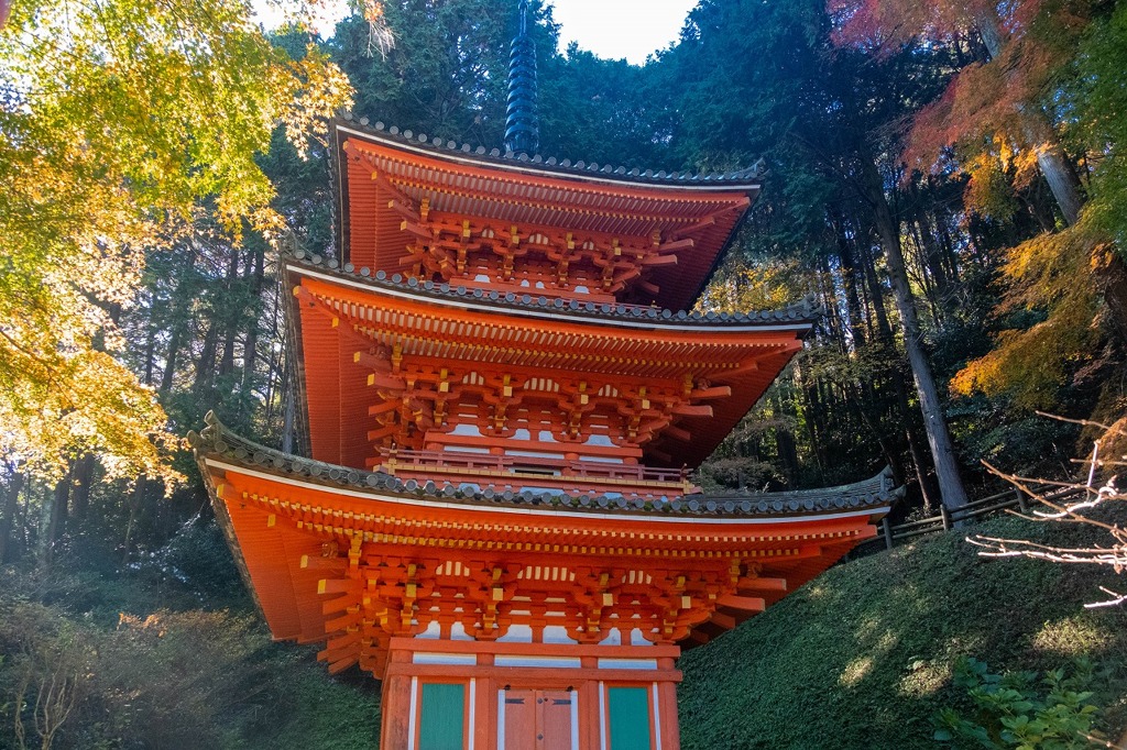 秋の奈良（22）