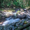 河津七滝（４）