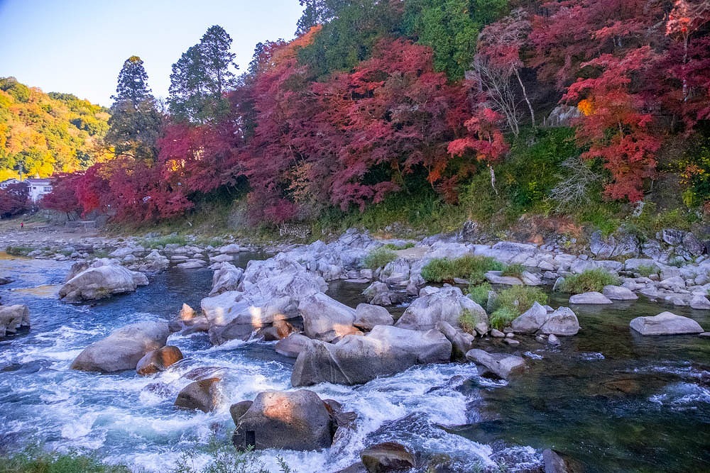 朝の香嵐渓（１）