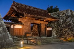 松川城の夜景（２）