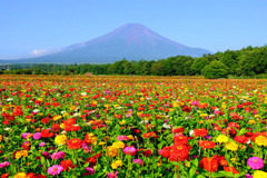 ２０１６年山中湖の夏（４）
