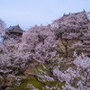 上田の春（41）