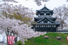 高田城と桜（９）