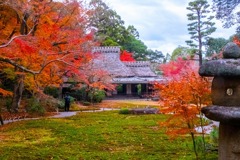 12月の奈良（８）