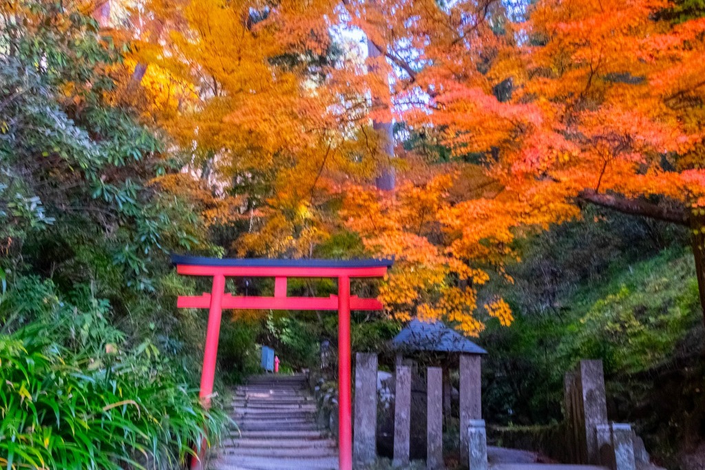 12月の奈良（67）