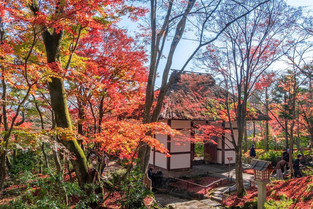秋の京都（15）