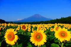 ２０１６年山中湖の夏（３）