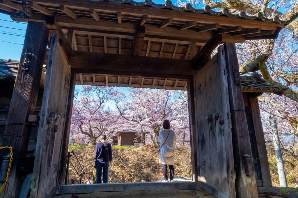 高遠の春（７）