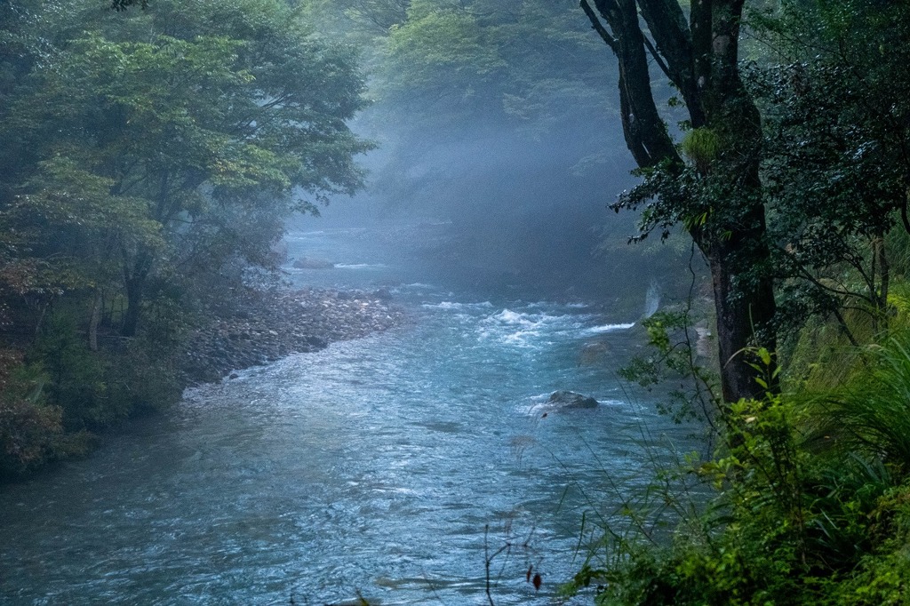 朝霧の円原川