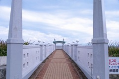 熊本（１）