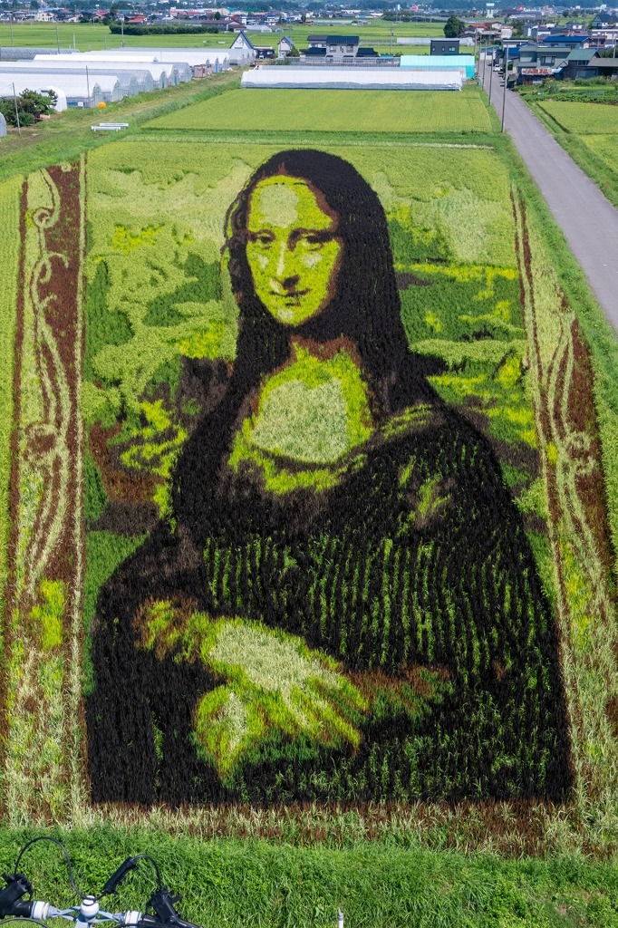 田舎館村田んぼアート（１）