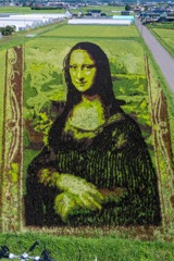 田舎館村田んぼアート（１）