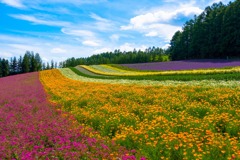 2017 北海道（27）