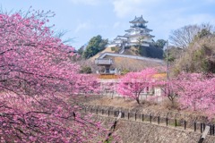 掛川城の春（３）