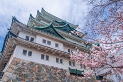 名古屋城桜まつり（５）