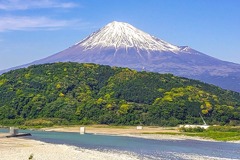 新緑の富士山（２）