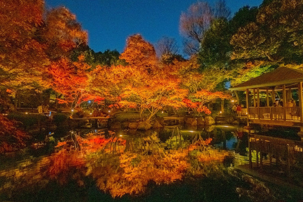 大田黒公園のライトアップ（14）