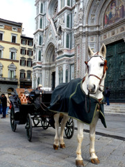 イタリア31