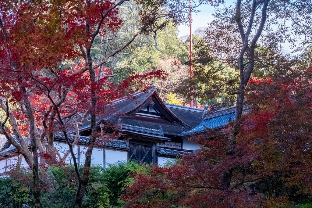 12月の奈良（40）