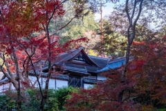 12月の奈良（40）