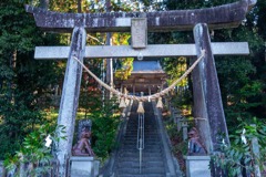 狛犬神社（１）