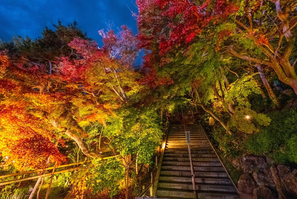 夜の長谷寺（３）