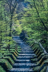 牛伏神社（１）