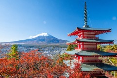 秋の新倉山（１）