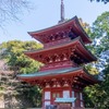 春の油山寺（８）