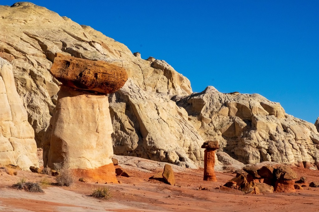 ドットストール（18）